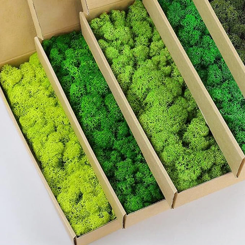 Sphagnum Moss Dry - Plantas verdes artificiales de 20-200g, hierba
