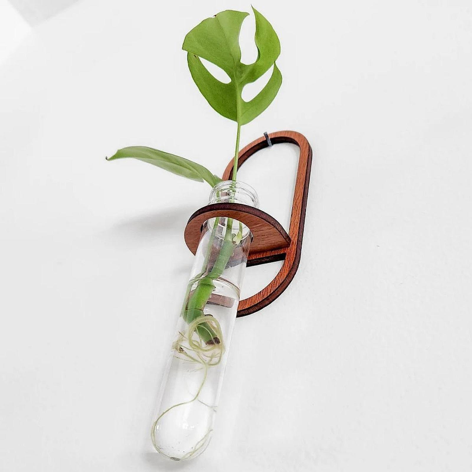 Propagation Station Vase - Jarrón para plantas hidropónicas, estante de