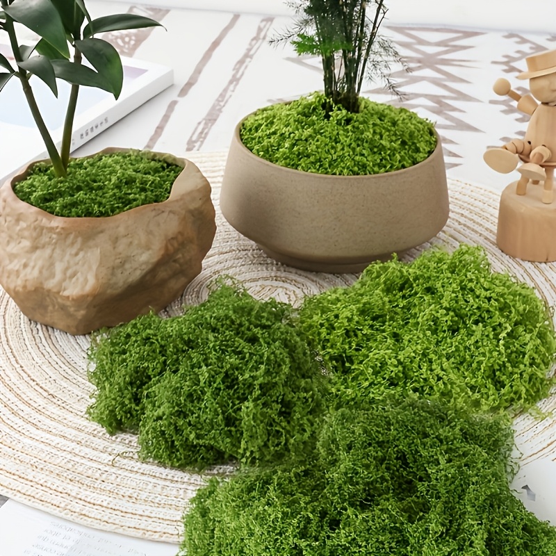 Sphagnum Moss Dry - Paquete grande de musgo Artificial realista,