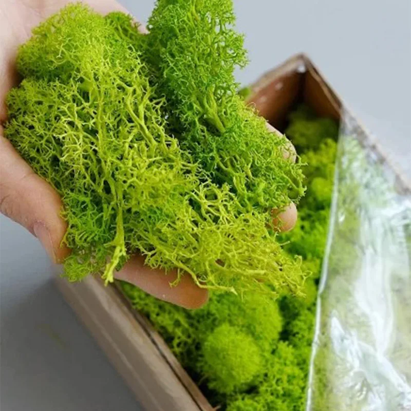Plantas verdes artificiales de - Sphagnum Moss Dry reseña y precio