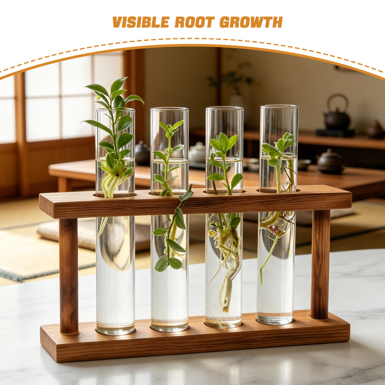 Estación de propagación de pla - Propagation Station Vase reseña y precio