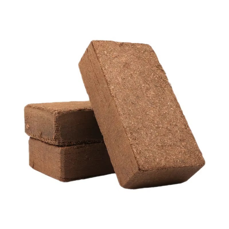 Cama para Reptiles, Ladrillo d - Sphagnum Moss Dry reseña y precio
