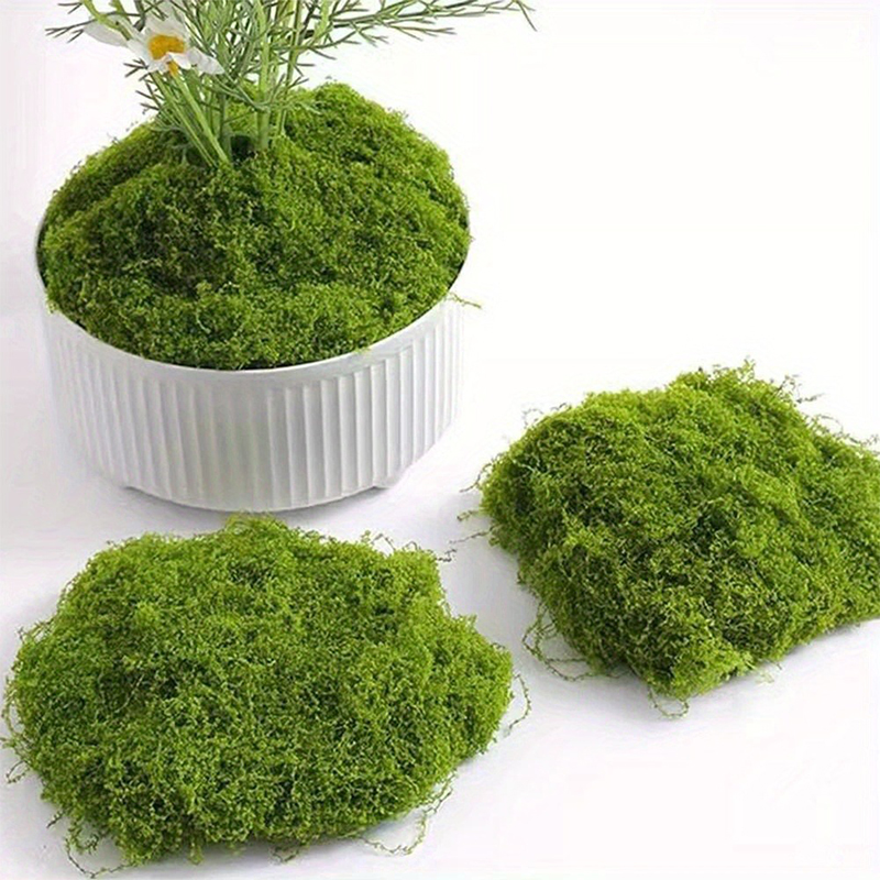Musgo Artificial Verde para Ma - Sphagnum Moss Dry reseña y precio