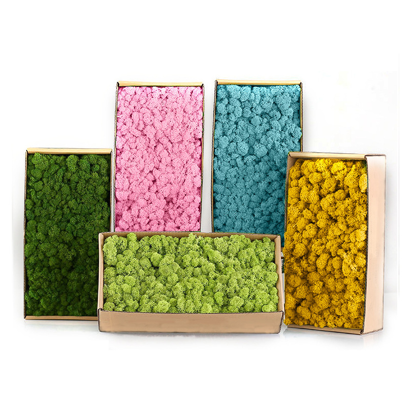 Plantas verdes artificiales, M - Sphagnum Moss Dry reseña y precio