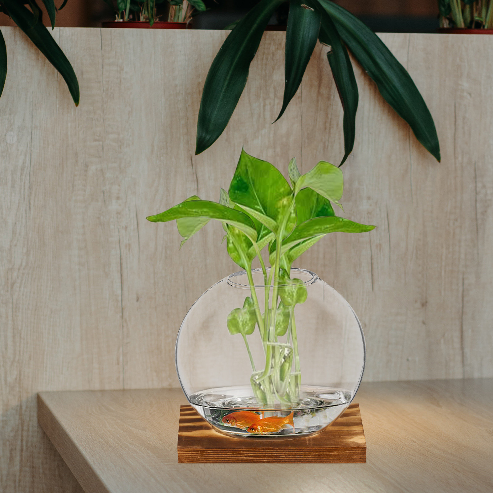 2 jarrones de vidrio pequeños  - Propagation Station Vase reseña y precio