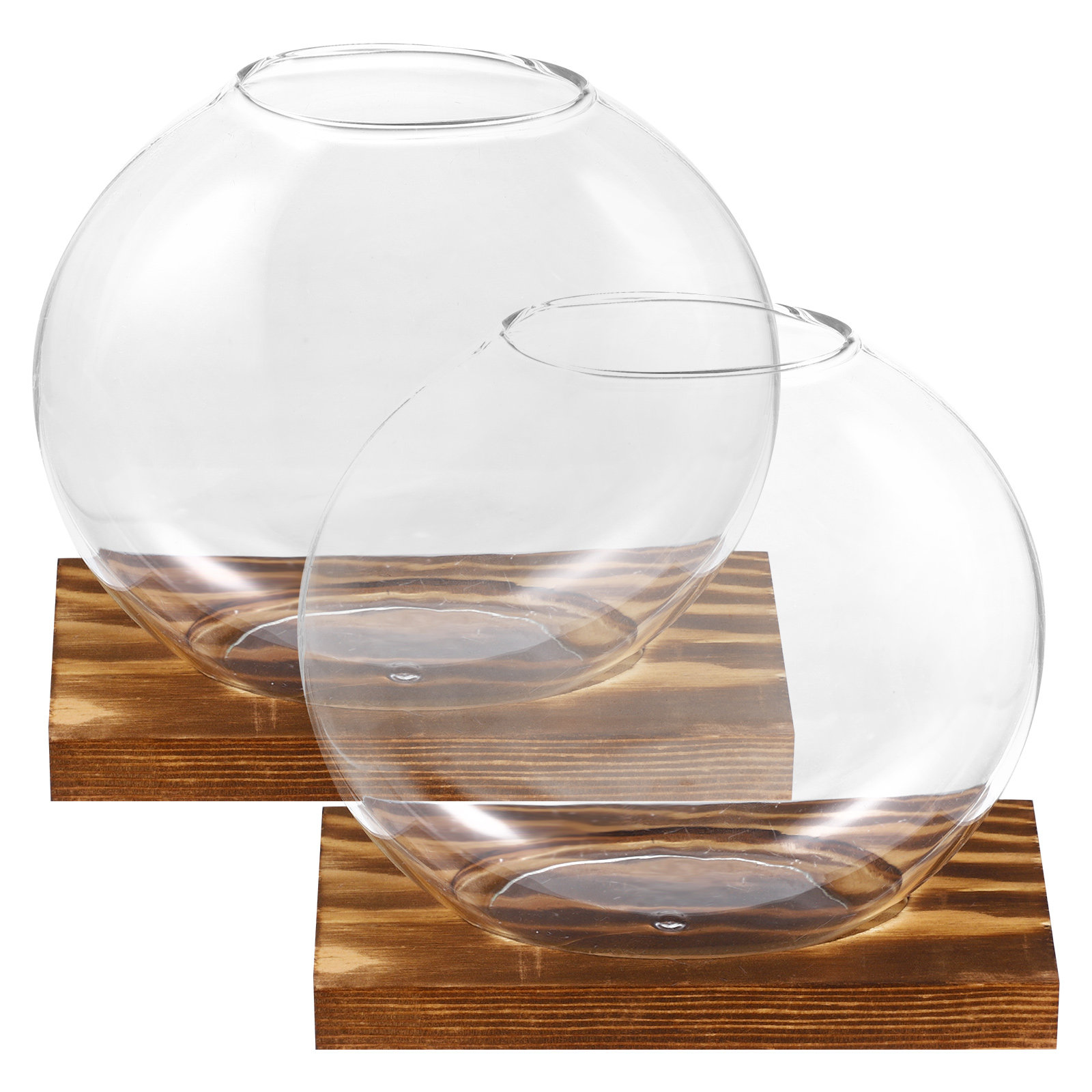 2 jarrones de vidrio pequeños  - Propagation Station Vase reseña y precio